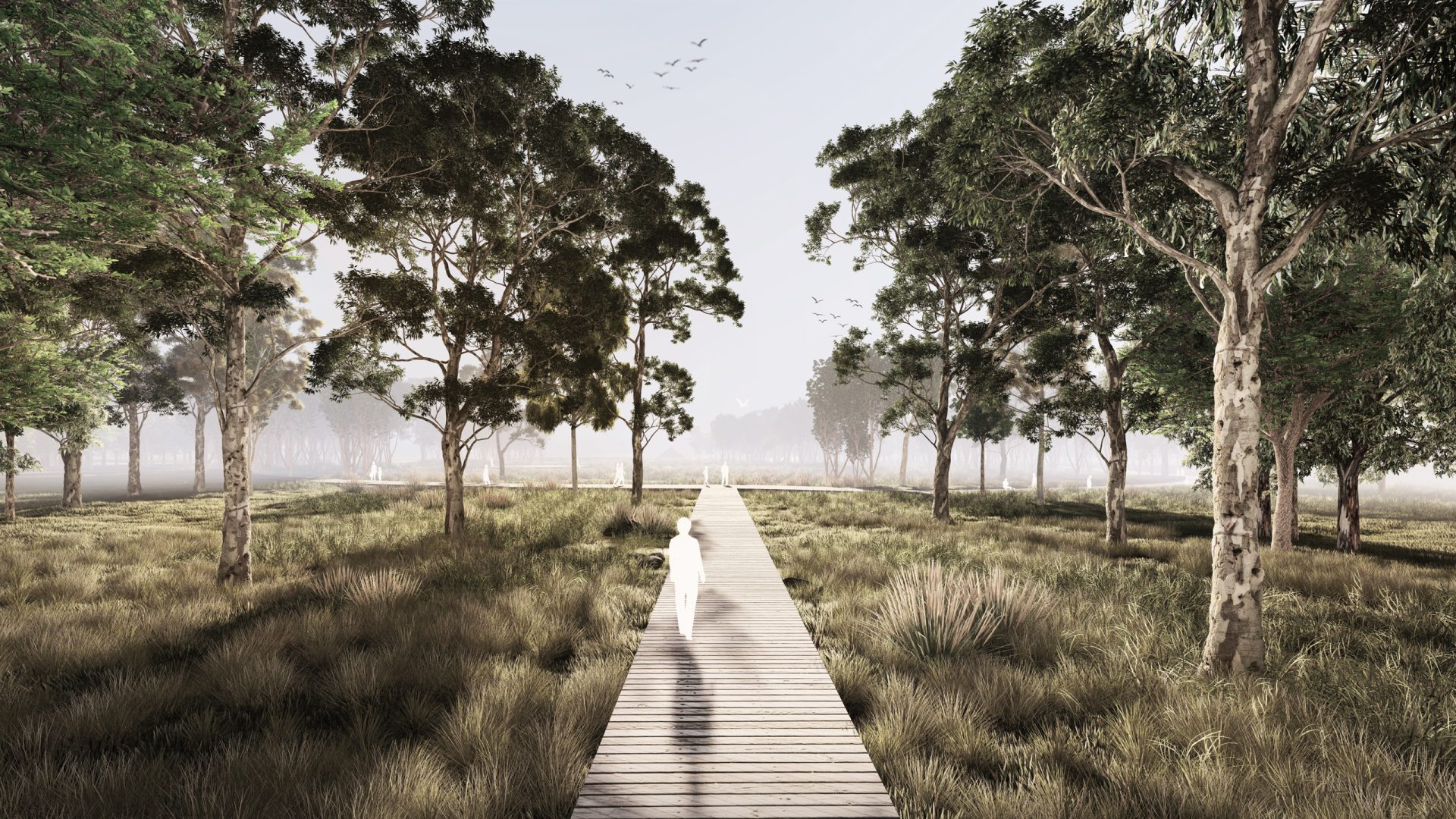 A lone figure walks along a wooden boardwalk that stretches into the distance through a tranquil forest of tall trees and grass. The scene is serene, with soft natural light and birds flying in the misty sky, reminiscent of the masterplan for Harkness Cemetery's peaceful pathways.