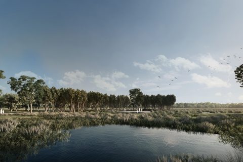 A serene landscape shows a reflective pond bordered by tall reeds and grasses. Trees with dense foliage are seen in the background, while a group of people stand on a platform near the water. The clear sky, a few clouds, and a flock of birds flying overhead contribute to the Harkness Cemetery Masterplan's tranquil beauty.