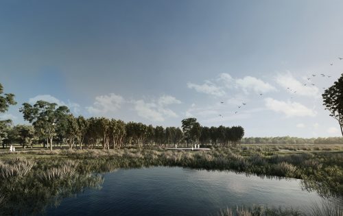 A serene landscape shows a reflective pond bordered by tall reeds and grasses. Trees with dense foliage are seen in the background, while a group of people stand on a platform near the water. The clear sky, a few clouds, and a flock of birds flying overhead contribute to the Harkness Cemetery Masterplan's tranquil beauty.