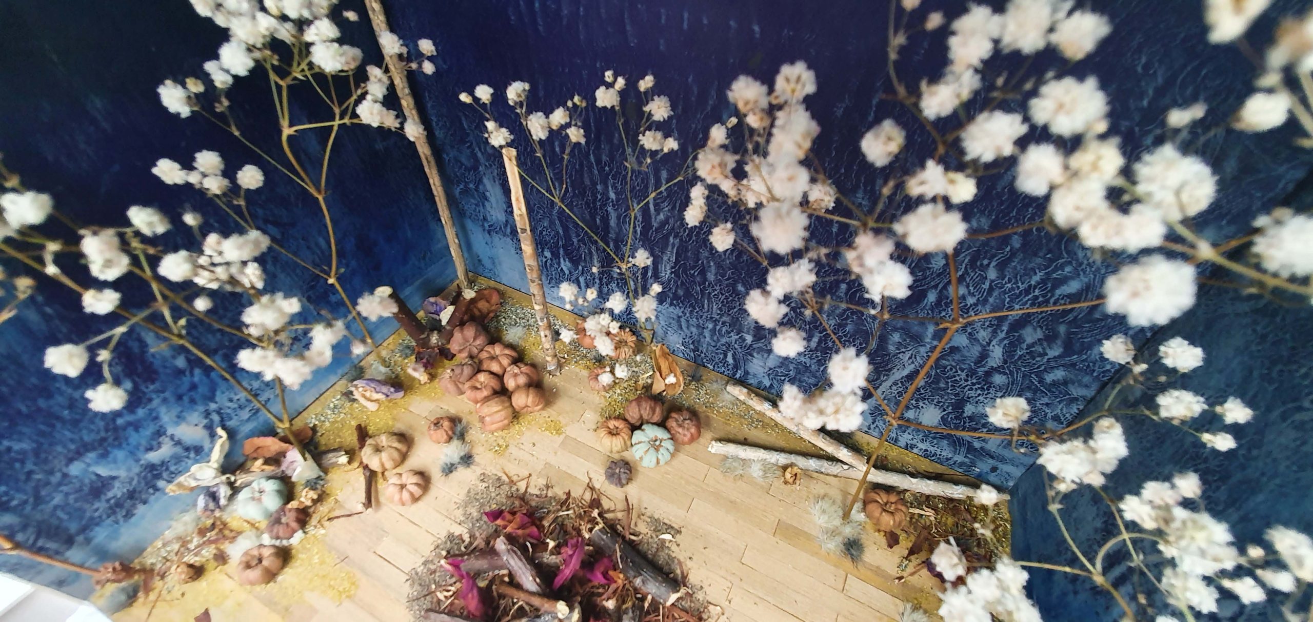 An assortment of dried flowers, seed pods, and small pumpkins are arranged in a room with dark blue textured walls. Branches adorned with white fluffy blooms stand upright against the walls, creating a rustic, natural scene. The wooden floor is scattered with petals and leaves.