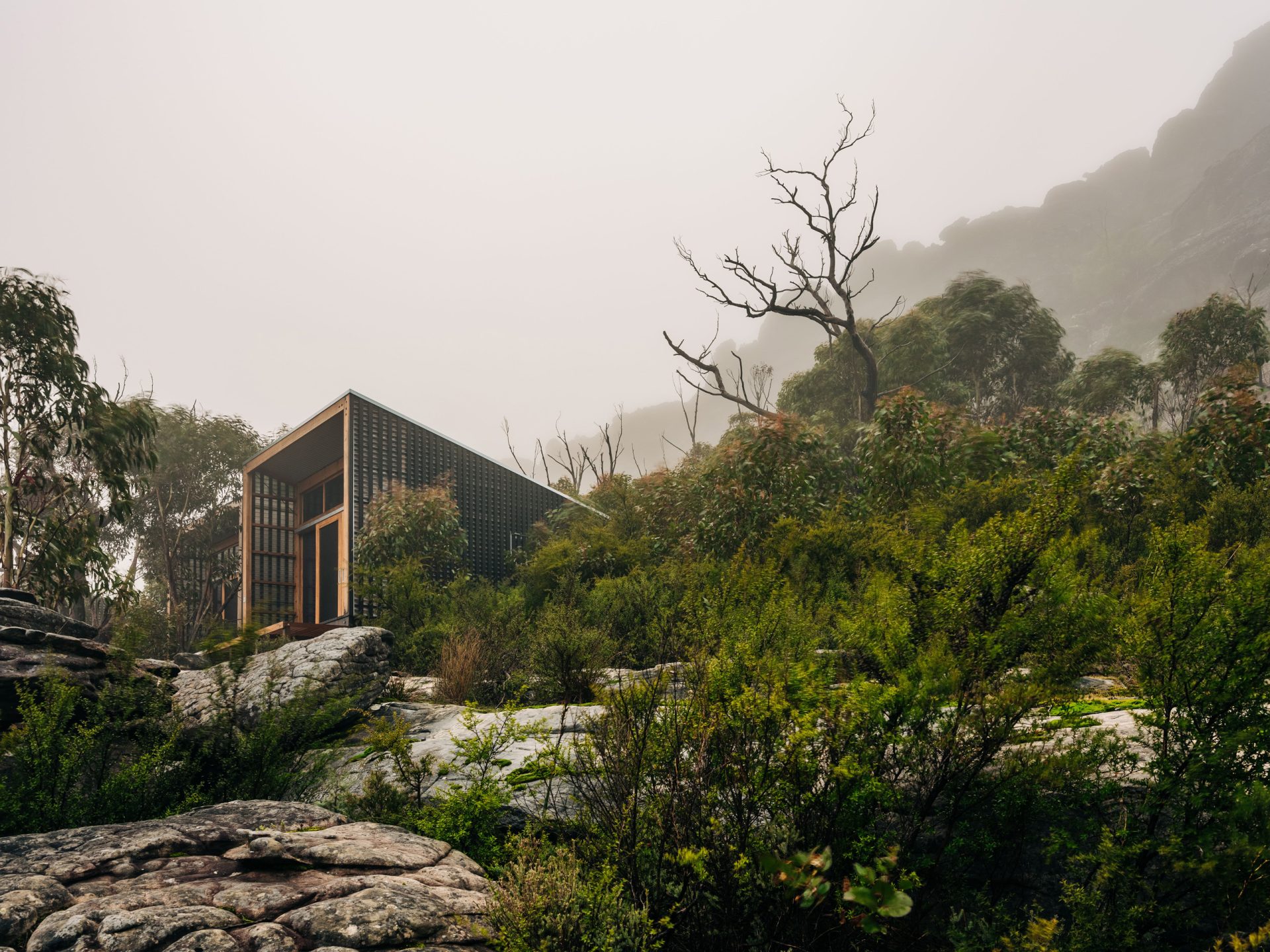 A modern cabin with large windows stands amidst lush greenery and rocks on a misty hillside. The background features tall trees and a foggy atmosphere, creating a serene and secluded natural setting ideal for those exploring the Grampians Peaks Trail in Gariwerd.