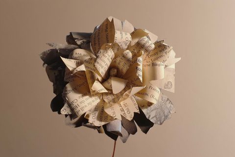 A close-up of a flower crafted from pages of a book, intricately folded and layered to form petals. The petals, adorned with printed text, evoke the essence of Tirweddau Iaith, giving the flower a unique and artistic appearance. The background is a plain, neutral shade.