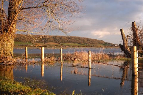 An idyllic lakeside scene at sunset, with tall, leafless trees reflected in the still water. Wooden posts stand partially submerged along a fence line, leading towards a distant, grassy hillside. The sky is partly cloudy with a warm, golden light—an ideal setting for Project Groundwater.