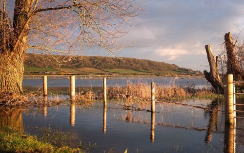 An idyllic lakeside scene at sunset, with tall, leafless trees reflected in the still water. Wooden posts stand partially submerged along a fence line, leading towards a distant, grassy hillside. The sky is partly cloudy with a warm, golden light—an ideal setting for Project Groundwater.