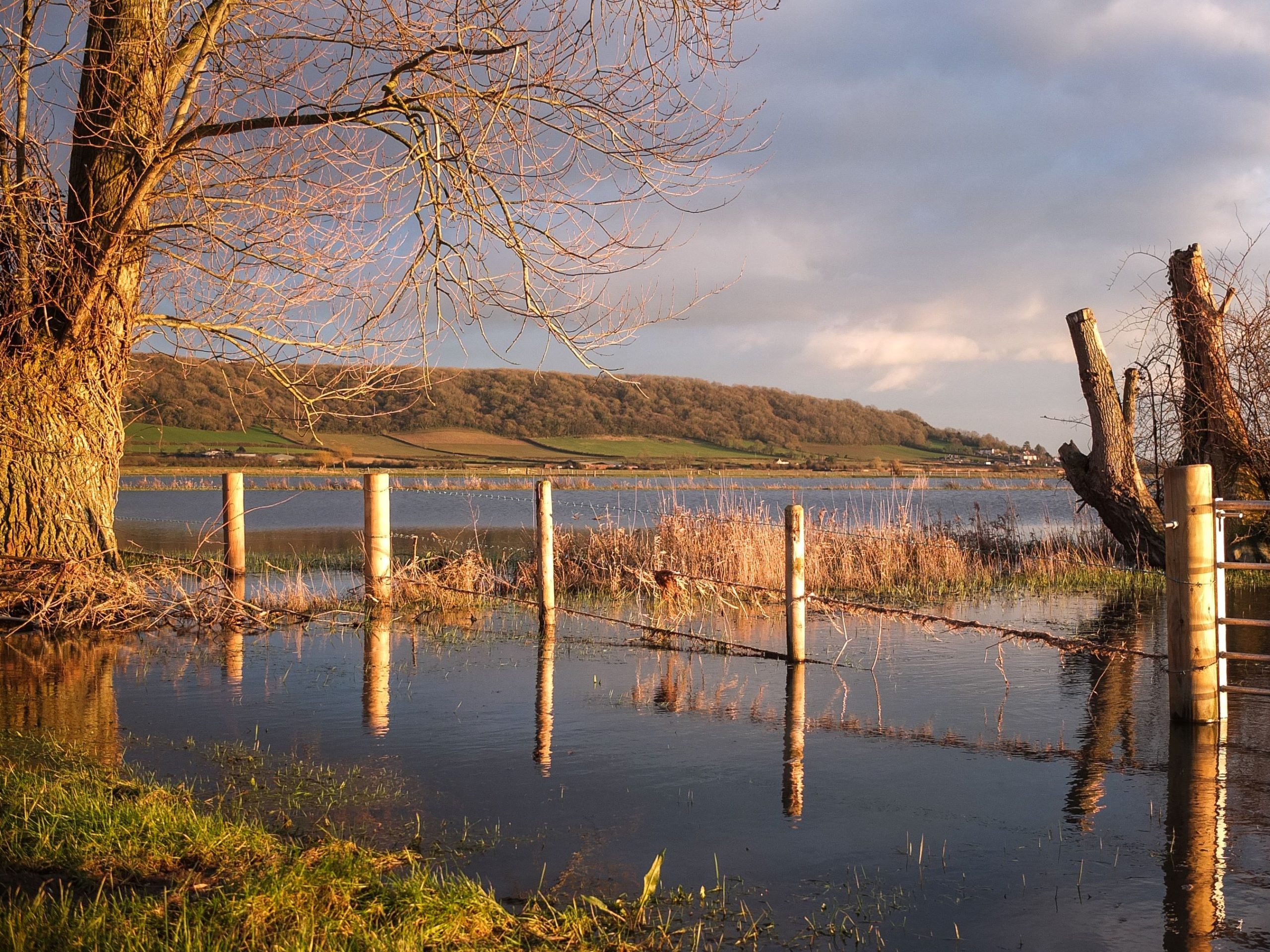 An idyllic lakeside scene at sunset, with tall, leafless trees reflected in the still water. Wooden posts stand partially submerged along a fence line, leading towards a distant, grassy hillside. The sky is partly cloudy with a warm, golden light—an ideal setting for Project Groundwater.