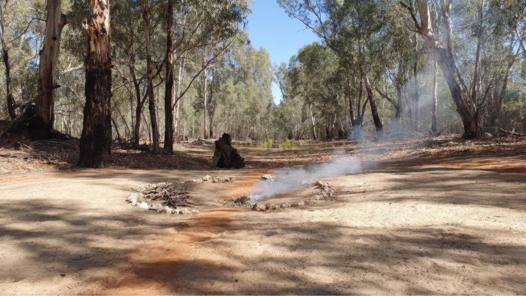 A serene forest clearing features a smoldering campfire surrounded by a ring of stones, embodying a sense of reconciliation. Smoke gently rises from the remnants of the fire. Towering eucalyptus trees stand tall, casting shadows on the sandy ground beneath a clear blue sky.