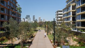 The official opening of NINE by Mirvac showcases a modern apartment complex with two parallel buildings and a pedestrian pathway lined with trees. In the distance, the city skyline graces the clear blue sky as a person strolls with a dog, perfectly blending urban life and nature near Henderson Park.