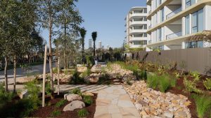 A landscaped pathway with stone pavers winds through lush gardens in Henderson Park, bordered by rocks and various plants. On the right, NINE by Mirvac's modern multi-story building with curved balconies stands tall. In the distance, more buildings rise under a clear blue sky.