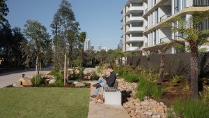 A person with a dog sits on a bench in Henderson Park, next to a building. The recently opened park features landscaped elements with trees, plants, rocks, and a mix of grass and paved areas. High-rise buildings are visible in the background under a clear blue sky at NINE by Mirvac.